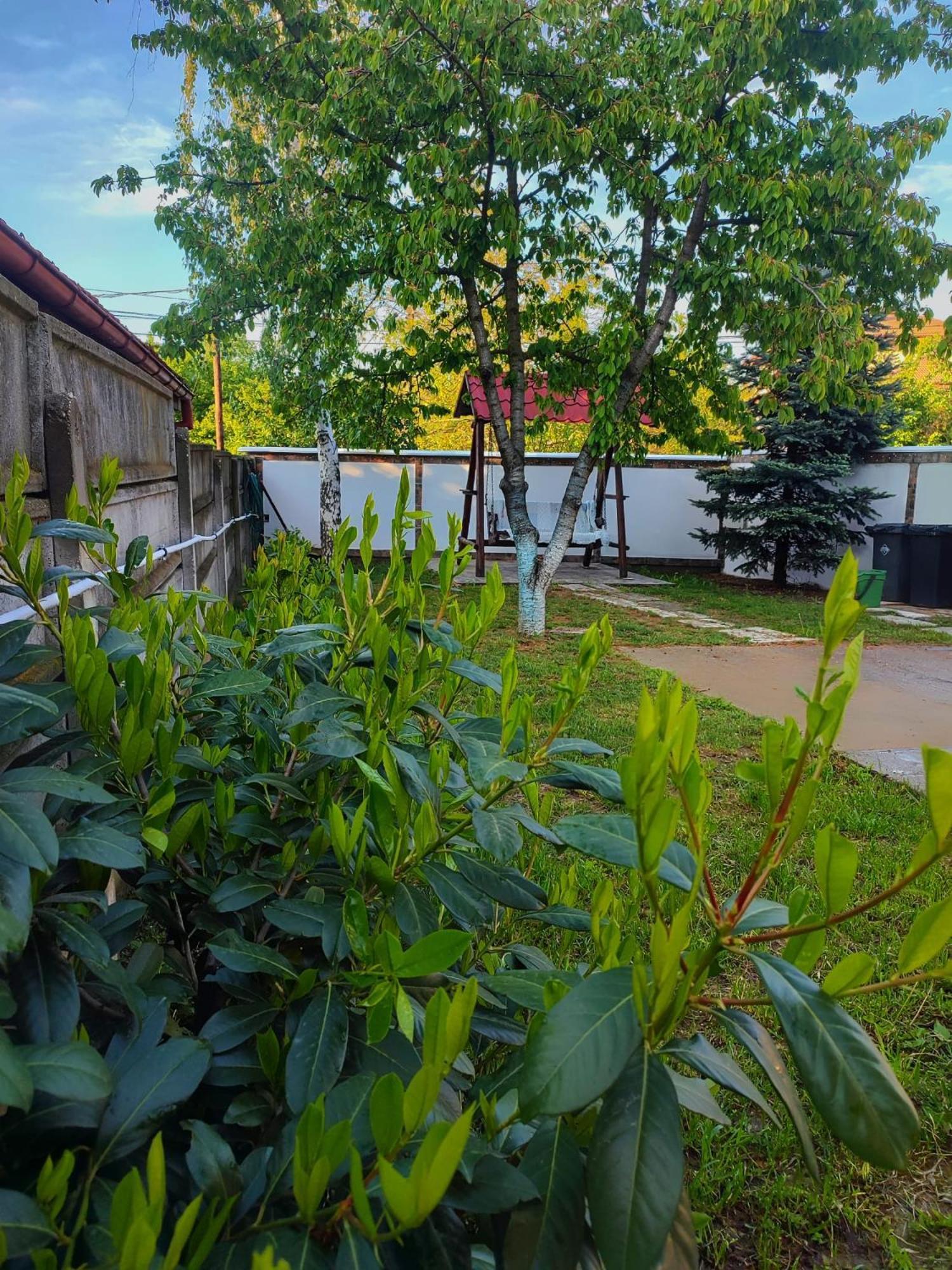 Courtyard Studio Oradea Dış mekan fotoğraf